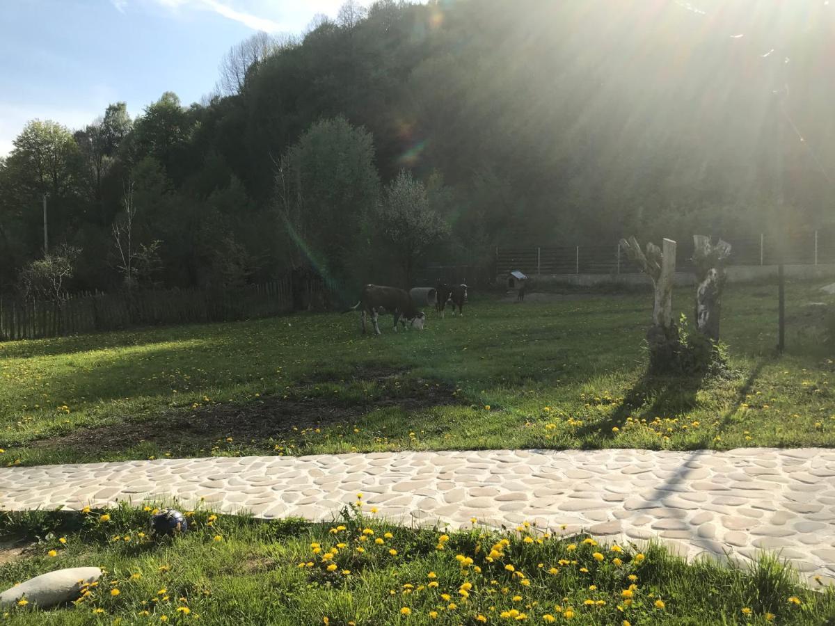 Casutele Doftanei Lejlighed Teşila Eksteriør billede